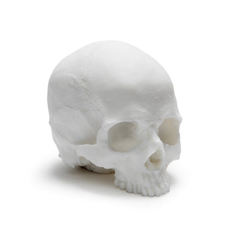 A Pound of Flesh - Skull - tommys supplies